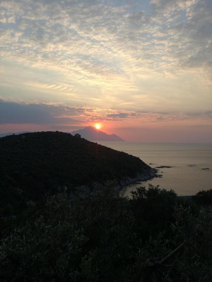 Case de vacanță Haris