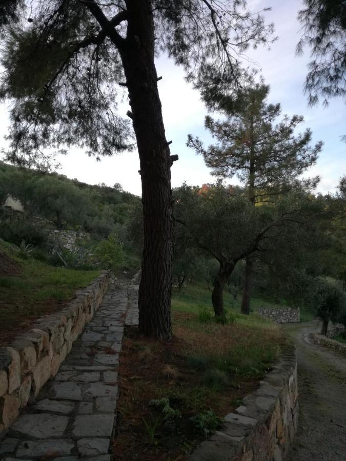 Tatil Evi Haris *