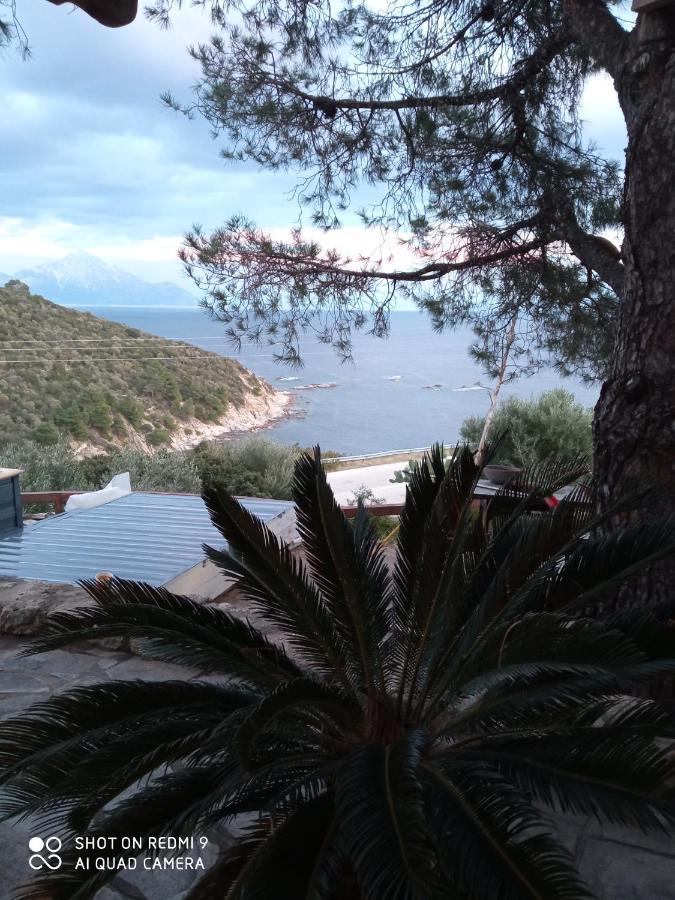Tatil Evi Haris Sarti